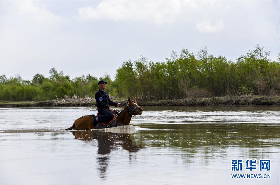 五粮液是什么梗